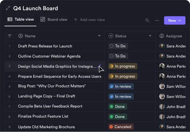 Team Animation dark frame 4