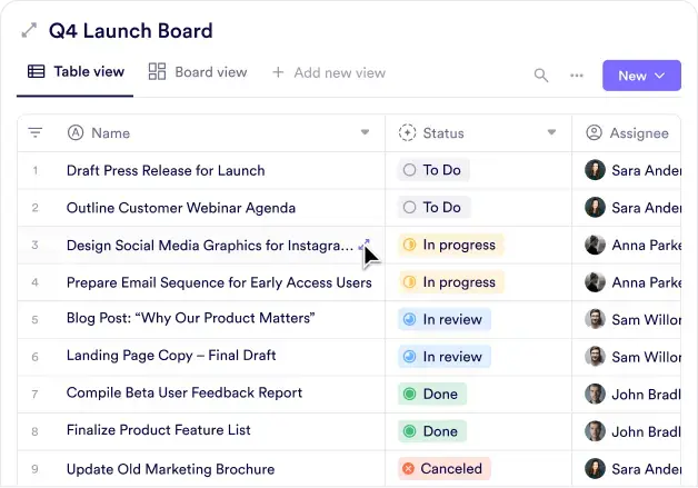 Team Animation  frame 4