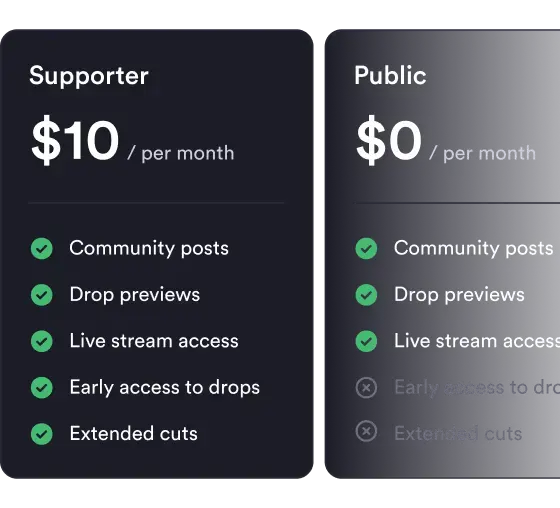 Membership tiers comparing supporter and public plans.