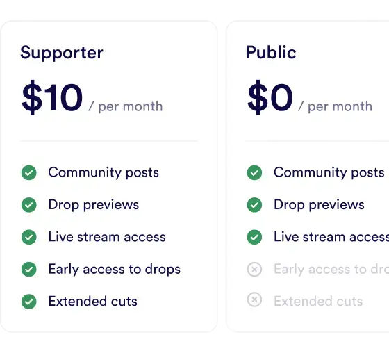 Membership tiers comparing supporter and public plans.